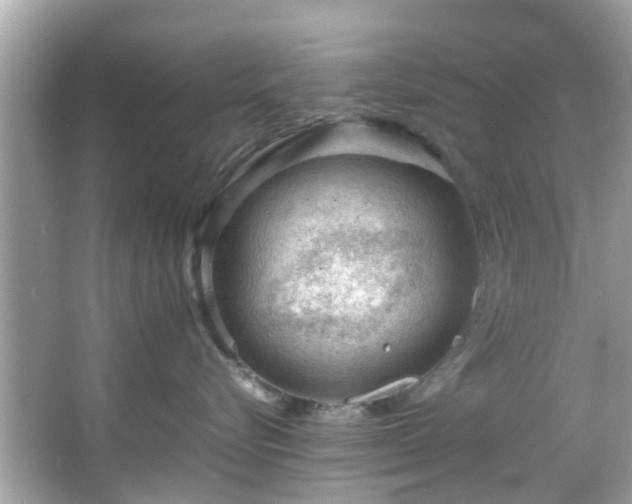 X0000066940576200603271140