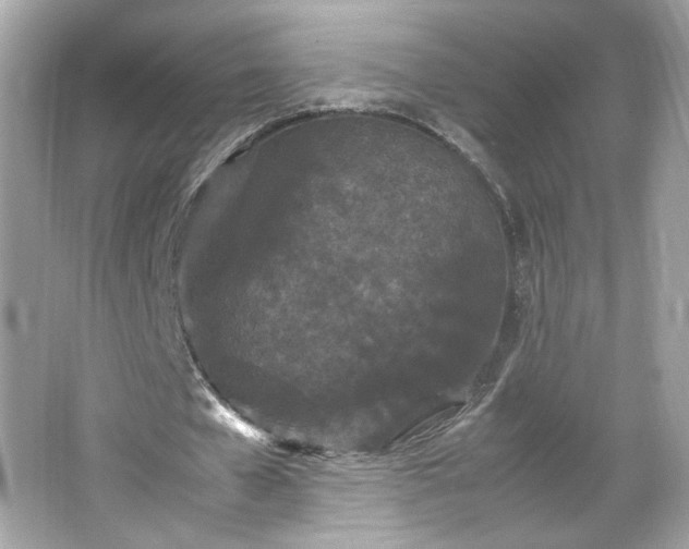 X0000066940577200603271139