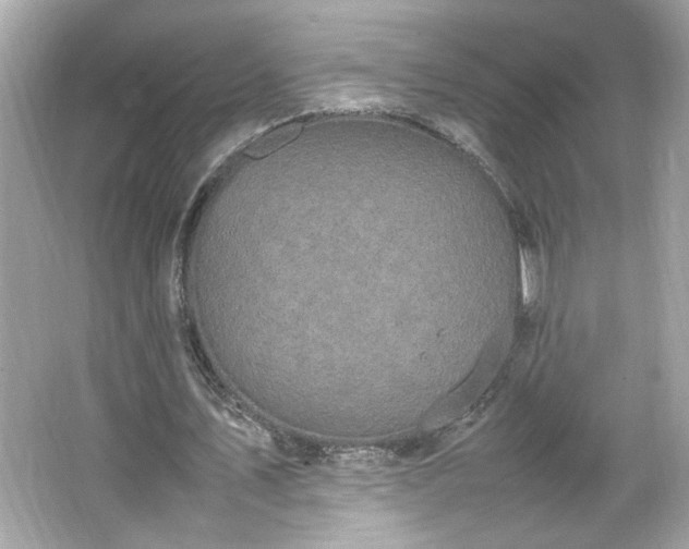 X0000066940579200603271139