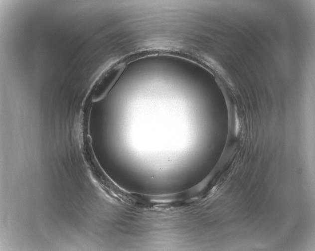 X0000066940580200603271139