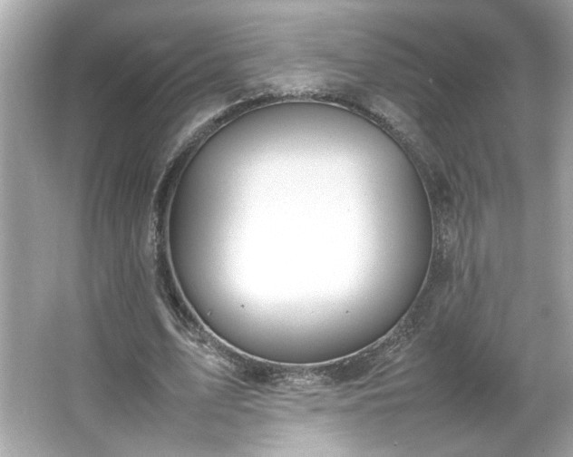 X0000066940583200603271139