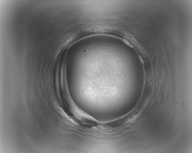 X0000066940585200603271139