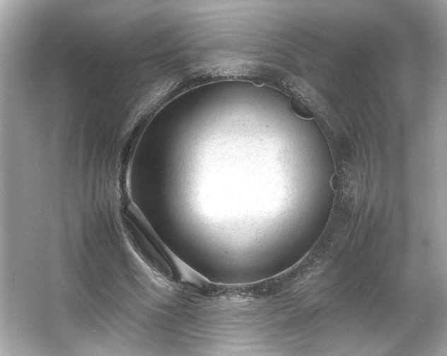 X0000066940586200603271139