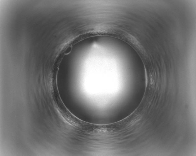 X0000066940588200603271139