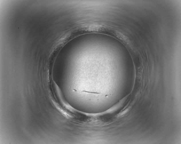 X0000066940589200603271139