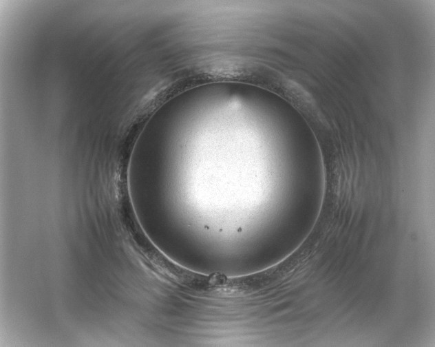 X0000066940596200603271139