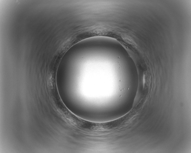 X0000066940597200603271139