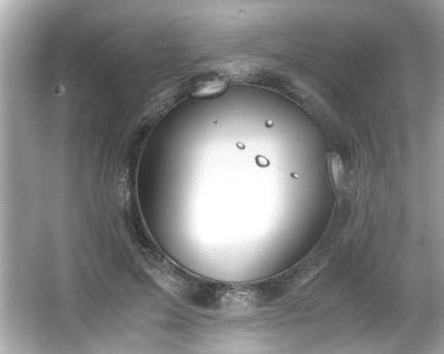 X0000066940599200603271139