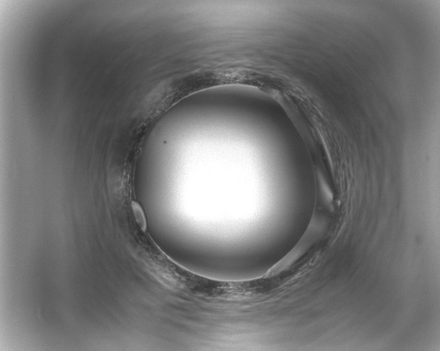 X0000066940601200603271139