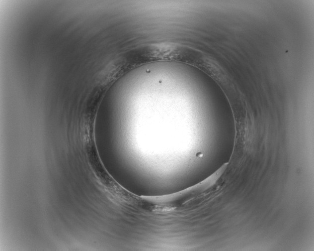 X0000066940602200603271139