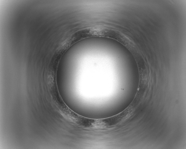 X0000066940603200603271139