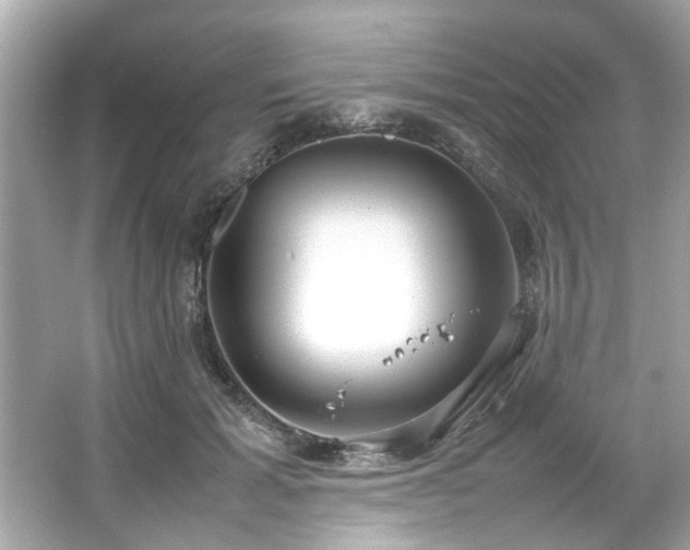 X0000066940605200603271139