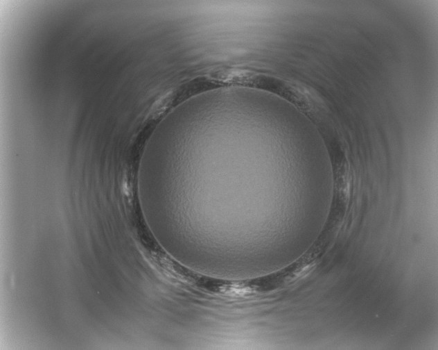 X0000066940607200603271139