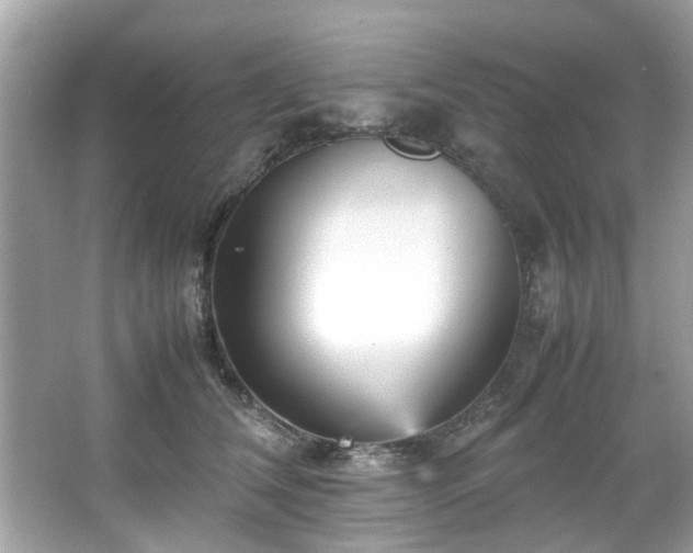 X0000066940612200603271139