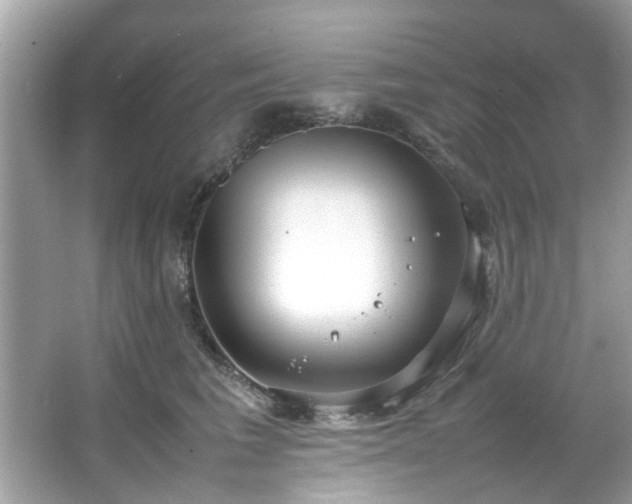 X0000066940613200603271139