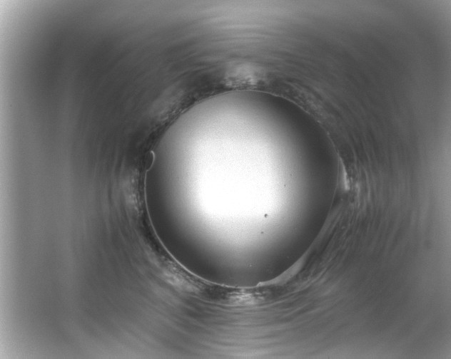 X0000066940616200603271138