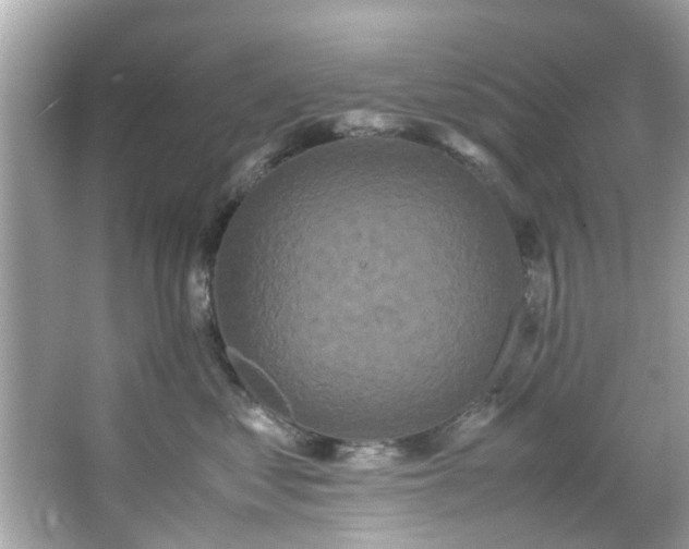 X0000066940621200603271138