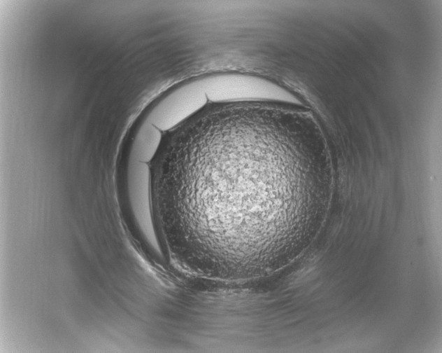 X0000066940626200603271138