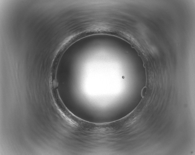 X0000066940629200603271138