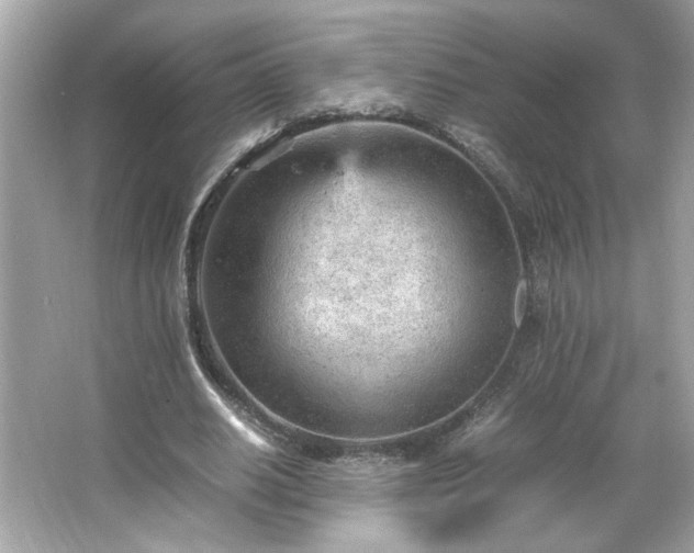 X0000066940630200603271138