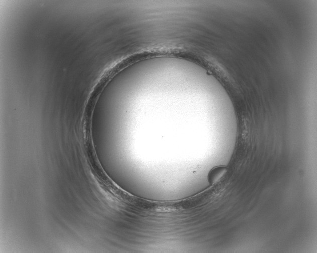 X0000066940636200603271138