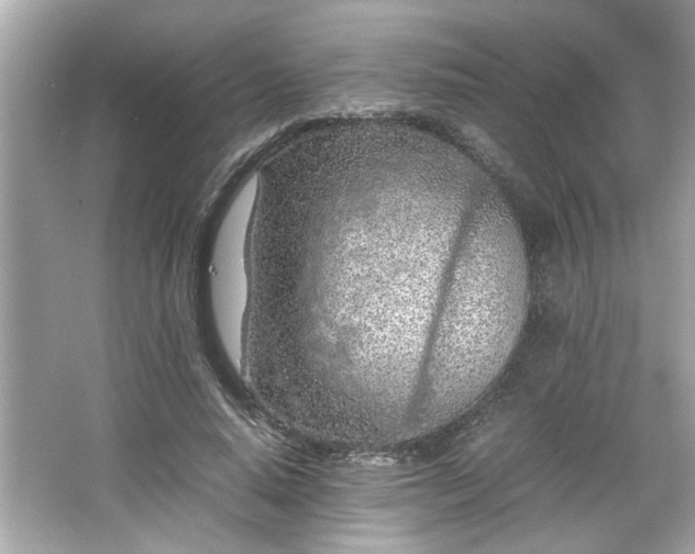 X0000066940640200603271138