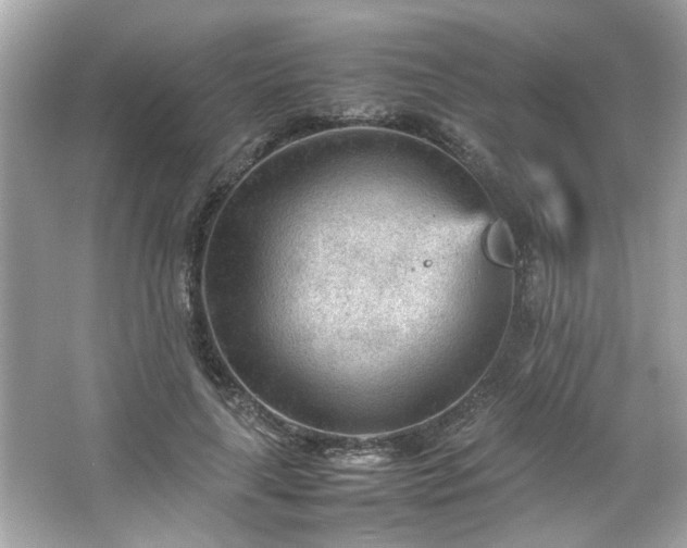 X0000066940643200603271138