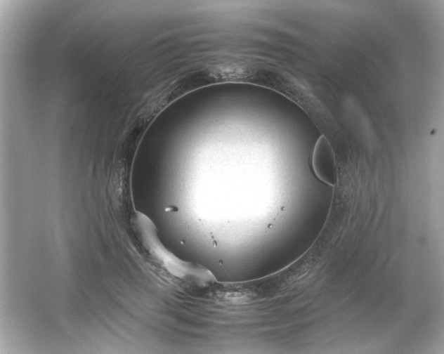 X0000066940645200603271138