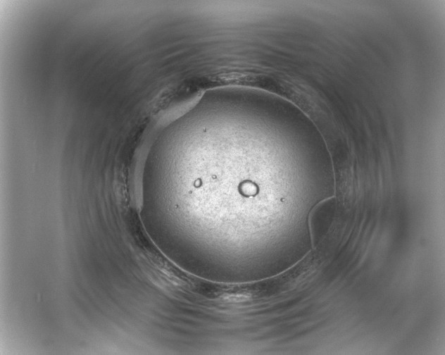 X0000066940653200603271138