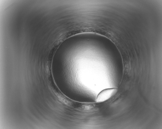 X0000066940662200603271138