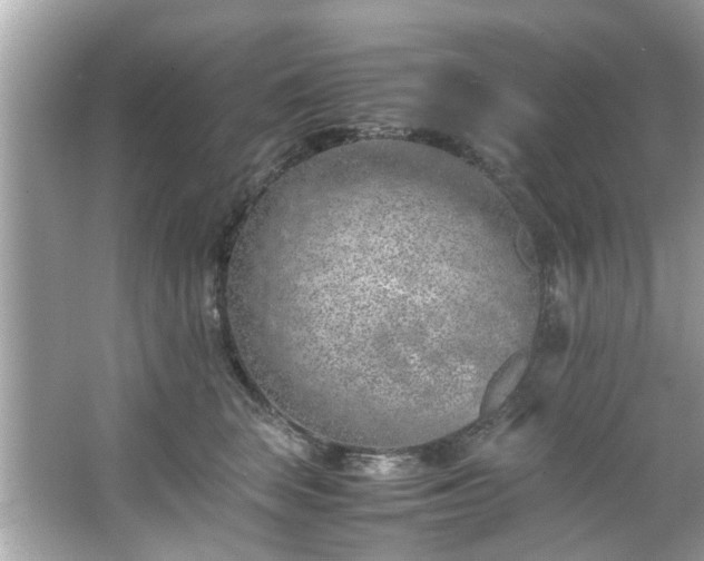 X0000066940663200603271138