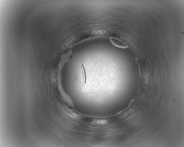 X0000066940665200603271138