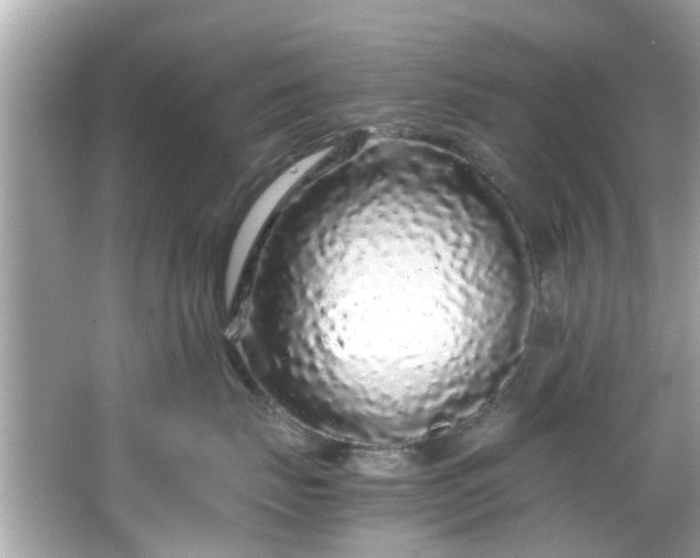 X0000066940671200603271138