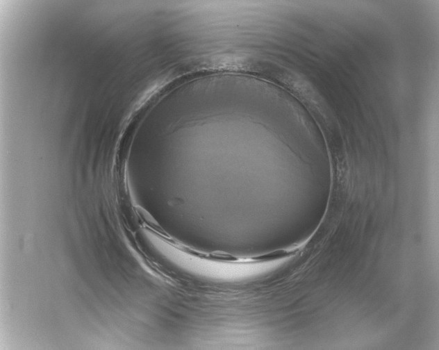 X0000066940674200603271138