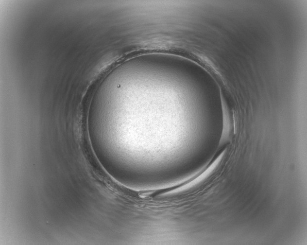 X0000066940675200603271137