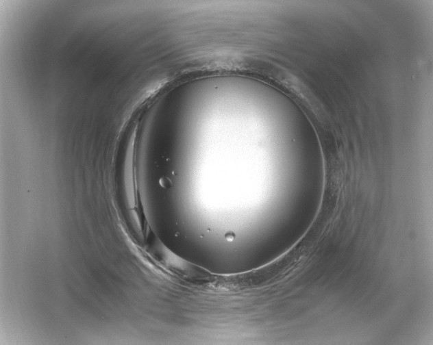 X0000066940677200603271137