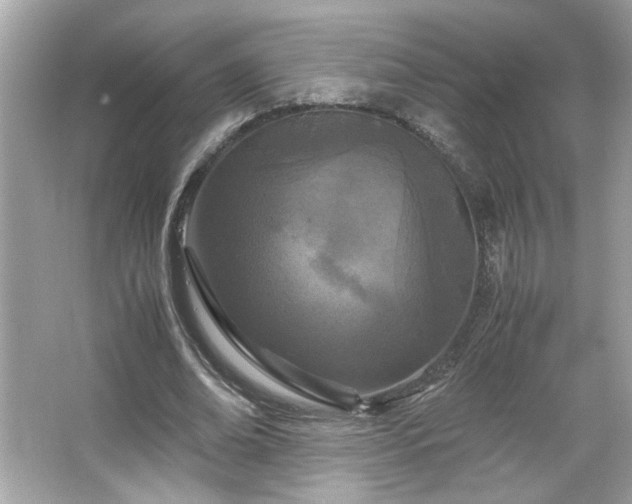 X0000066940678200603271137