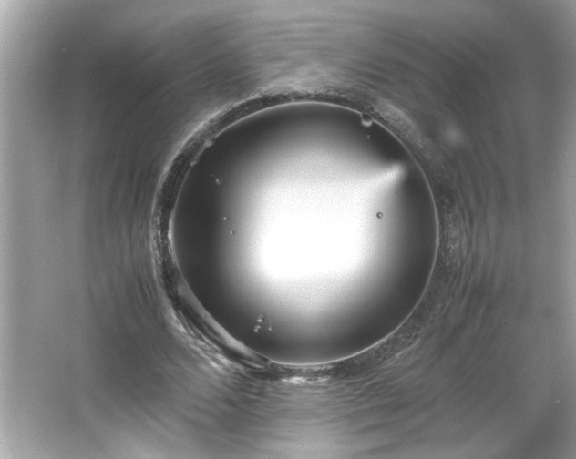 X0000066940680200603271137