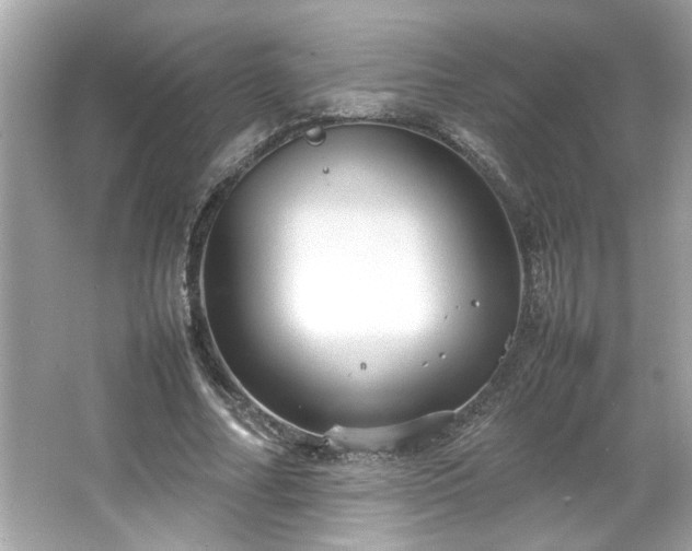 X0000066940682200603271137