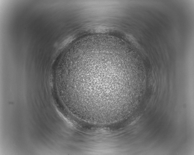 X0000066940683200603271137