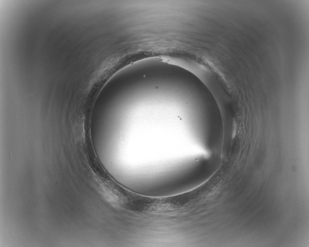 X0000066940685200603271137