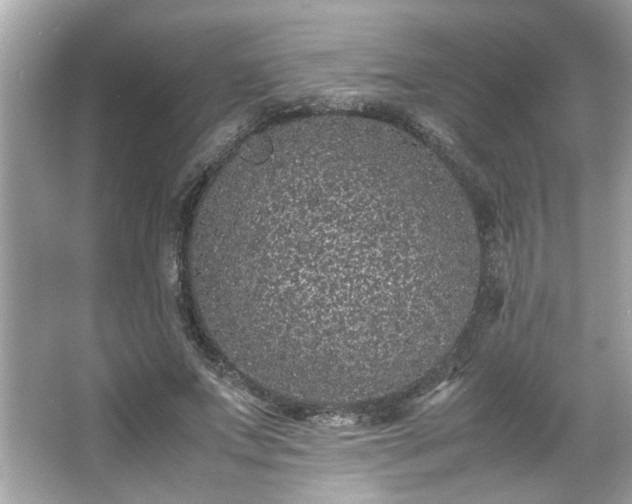 X0000066940687200603271137