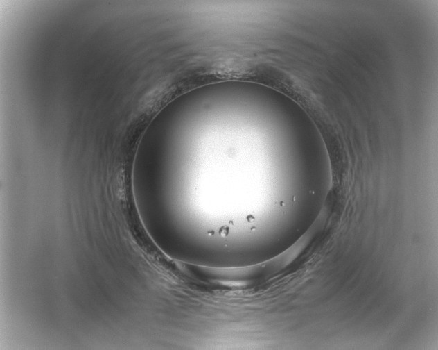 X0000066940689200603271137