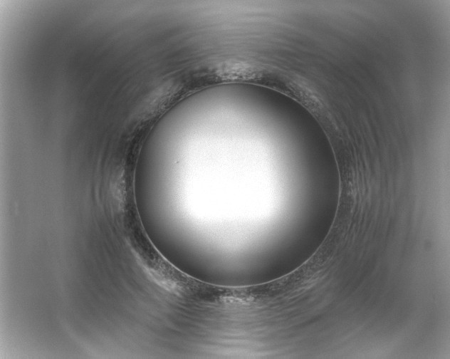 X0000066940690200603271137