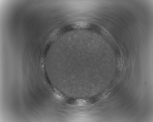 X0000066940701200603271137