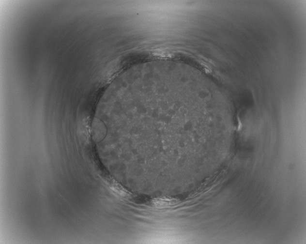 X0000066940707200603271137