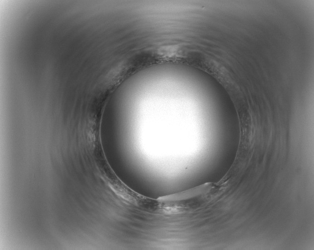 X0000066940710200603271137