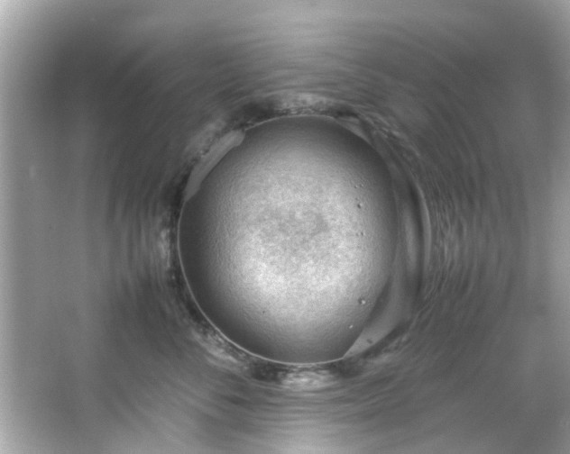 X0000066940716200603271137