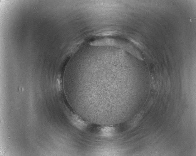 X0000066940718200603271137