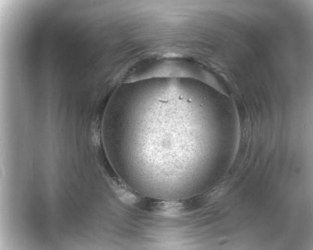 X0000066940719200603271137